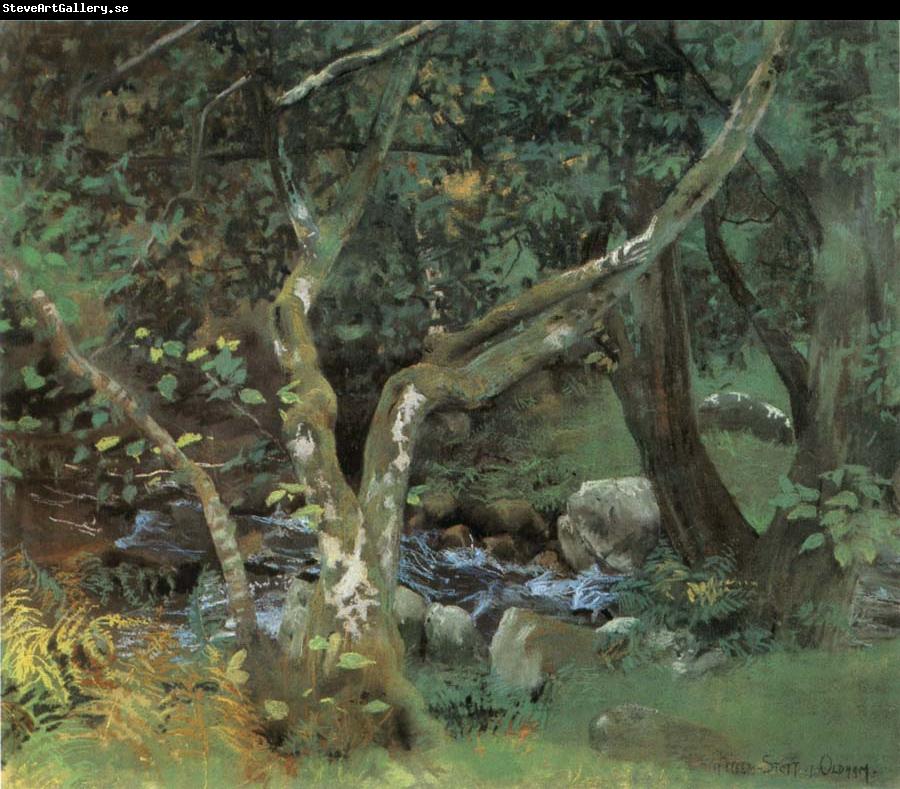 William Stott of Oldham Autumn Woodland